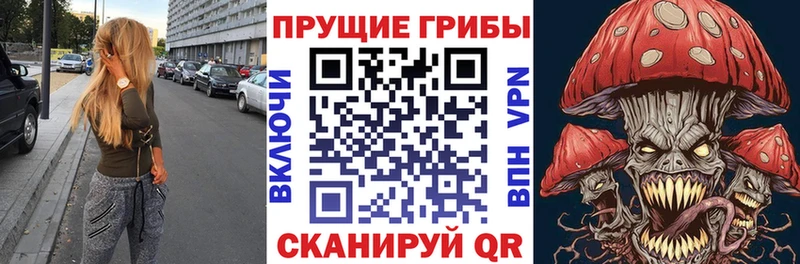 Галлюциногенные грибы Psilocybine cubensis  где можно купить   Октябрьск 